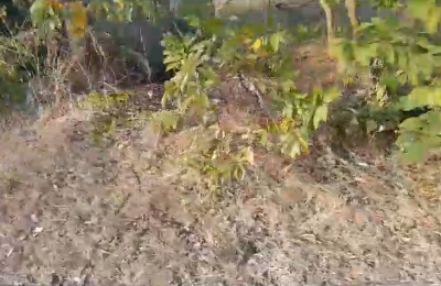 8 acre agriculture land